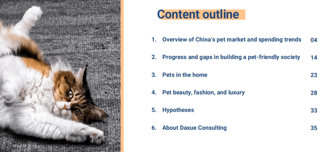 域十大关键词深度分析开元ky棋牌新消费领(图11)