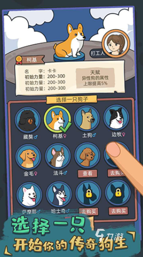 戏盘点 2025经典的小狗的游戏大全开元棋牌试玩受欢迎的狗喜欢玩的十种游(图4)