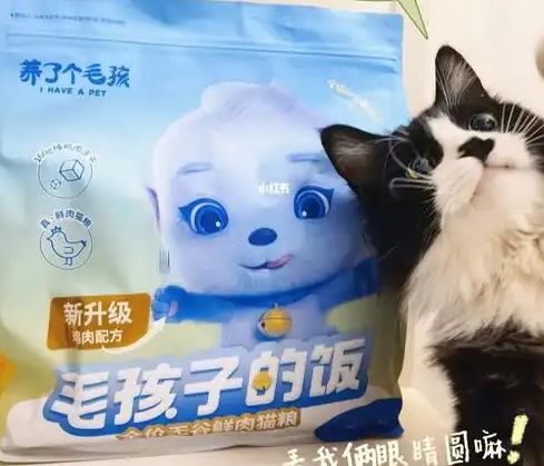 粮！三只松鼠靠什么重返宠物食品赛道开元棋牌试玩零食巨头盯上毛孩子口(图1)